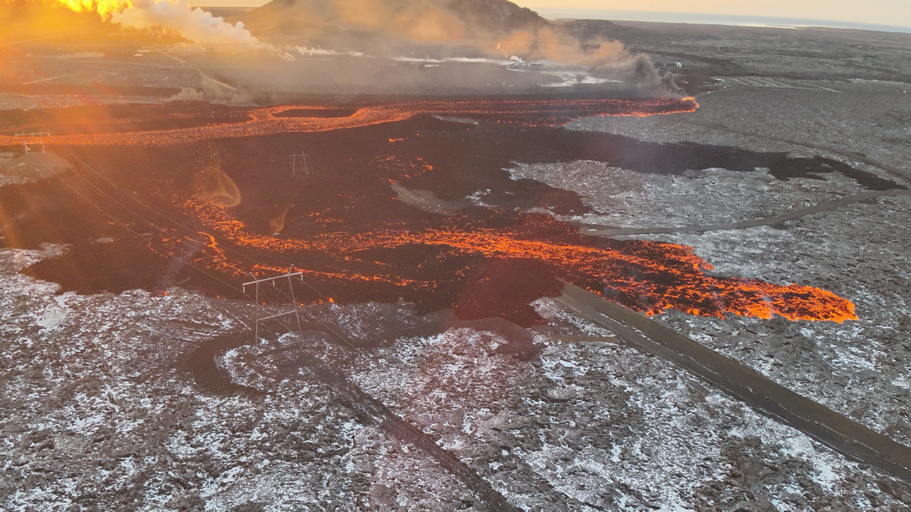 Möstur í hrauninu sem rann úr eldgosi í Sundhnúkagígaröð, nóvember 2024